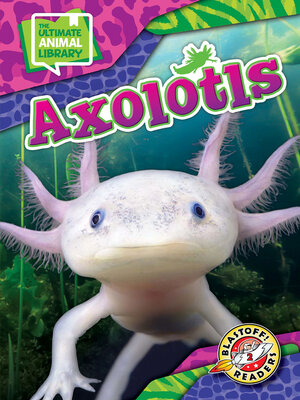 cover image of Axolotls